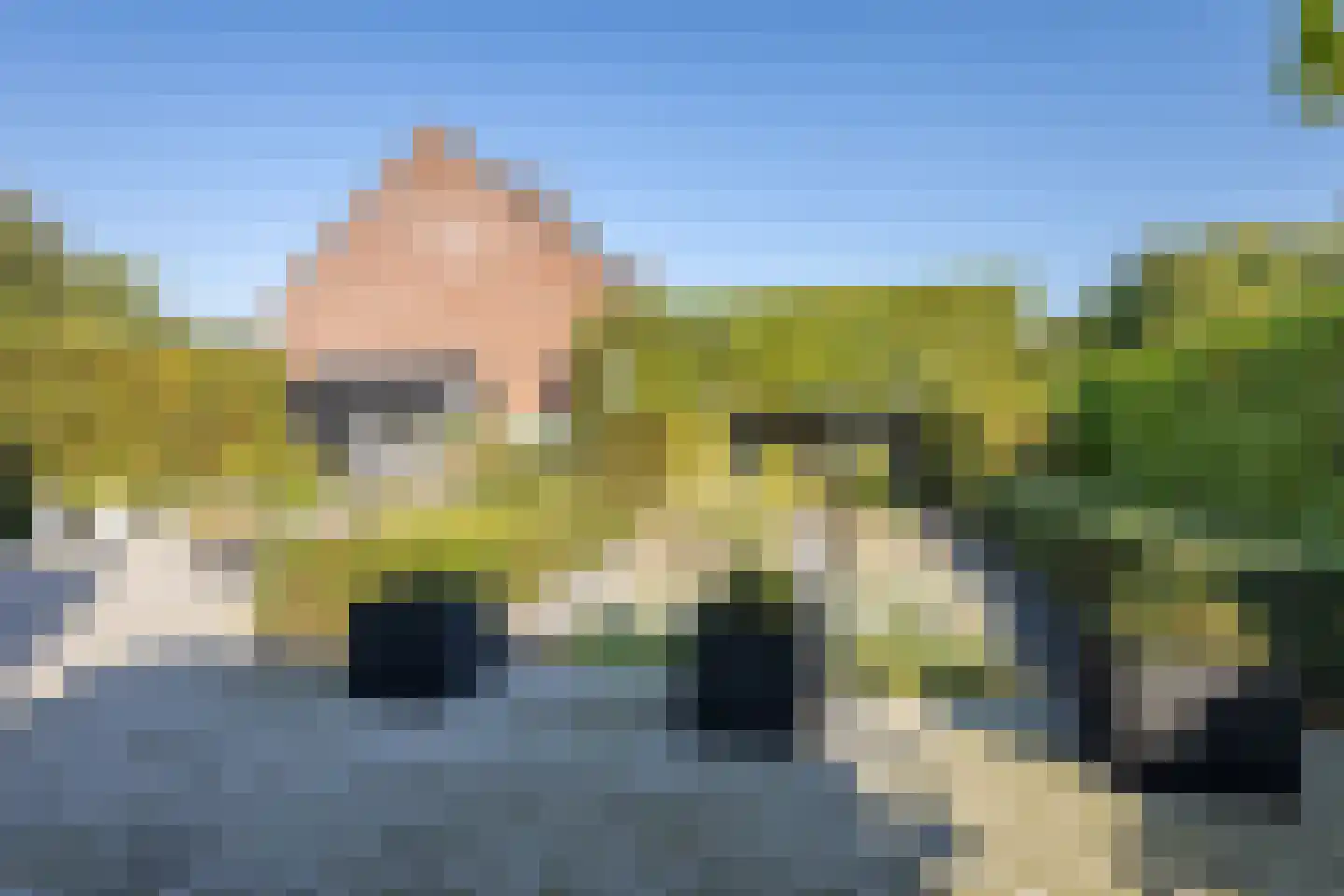Pluvier 13 Philippine thumbnail 48