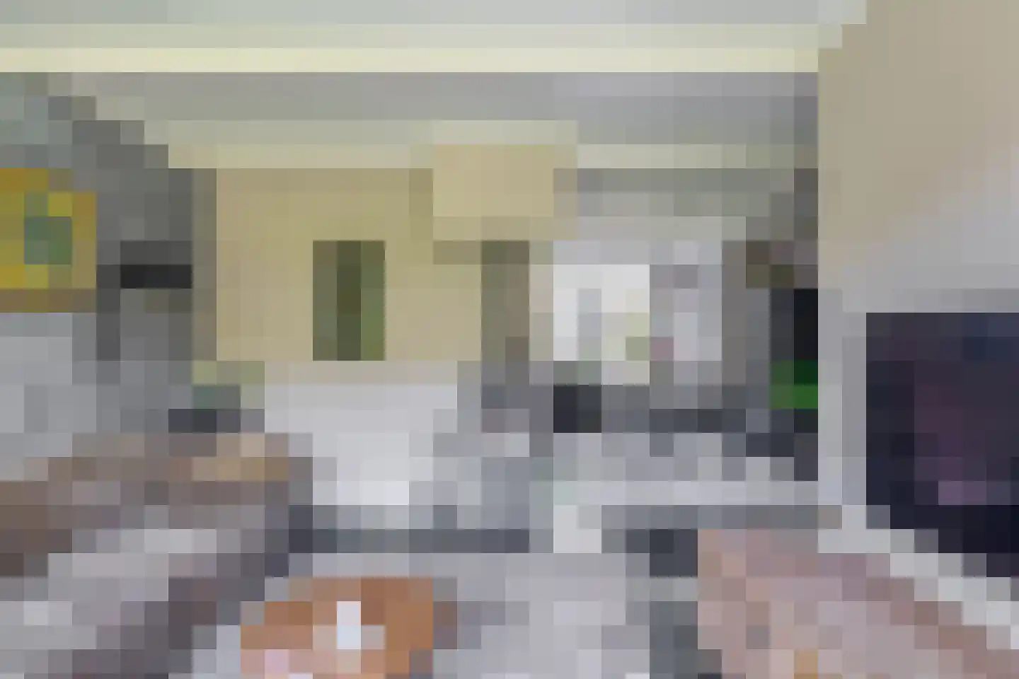 Pluvier 20 Sommelsdijk thumbnail 10
