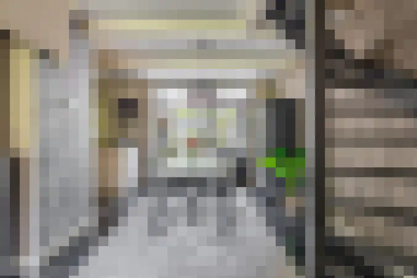 Pluvier 20 Sommelsdijk thumbnail 11