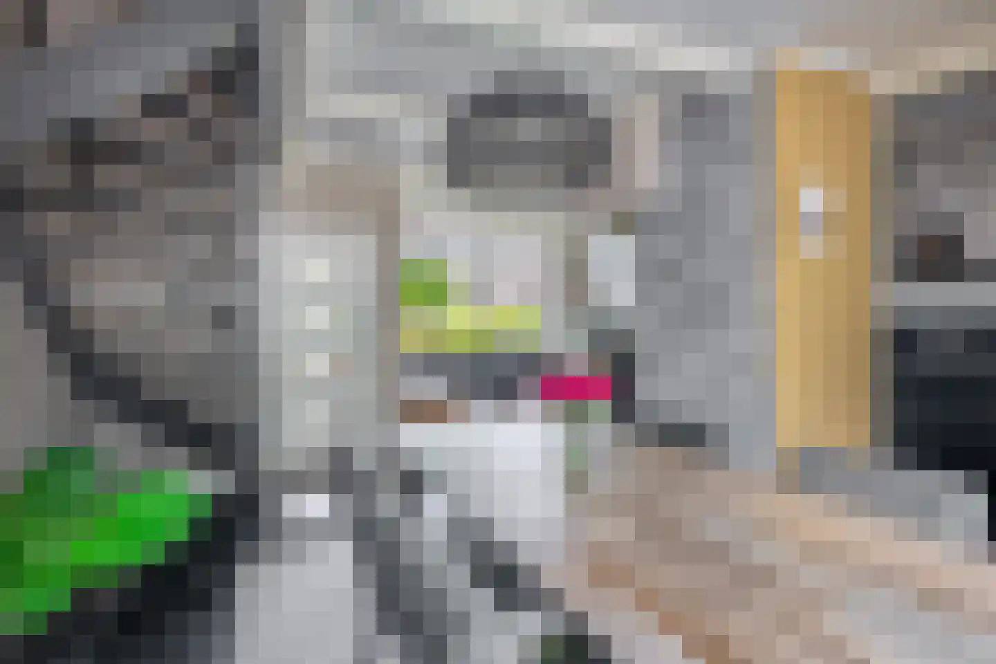 Pluvier 20 Sommelsdijk thumbnail 12