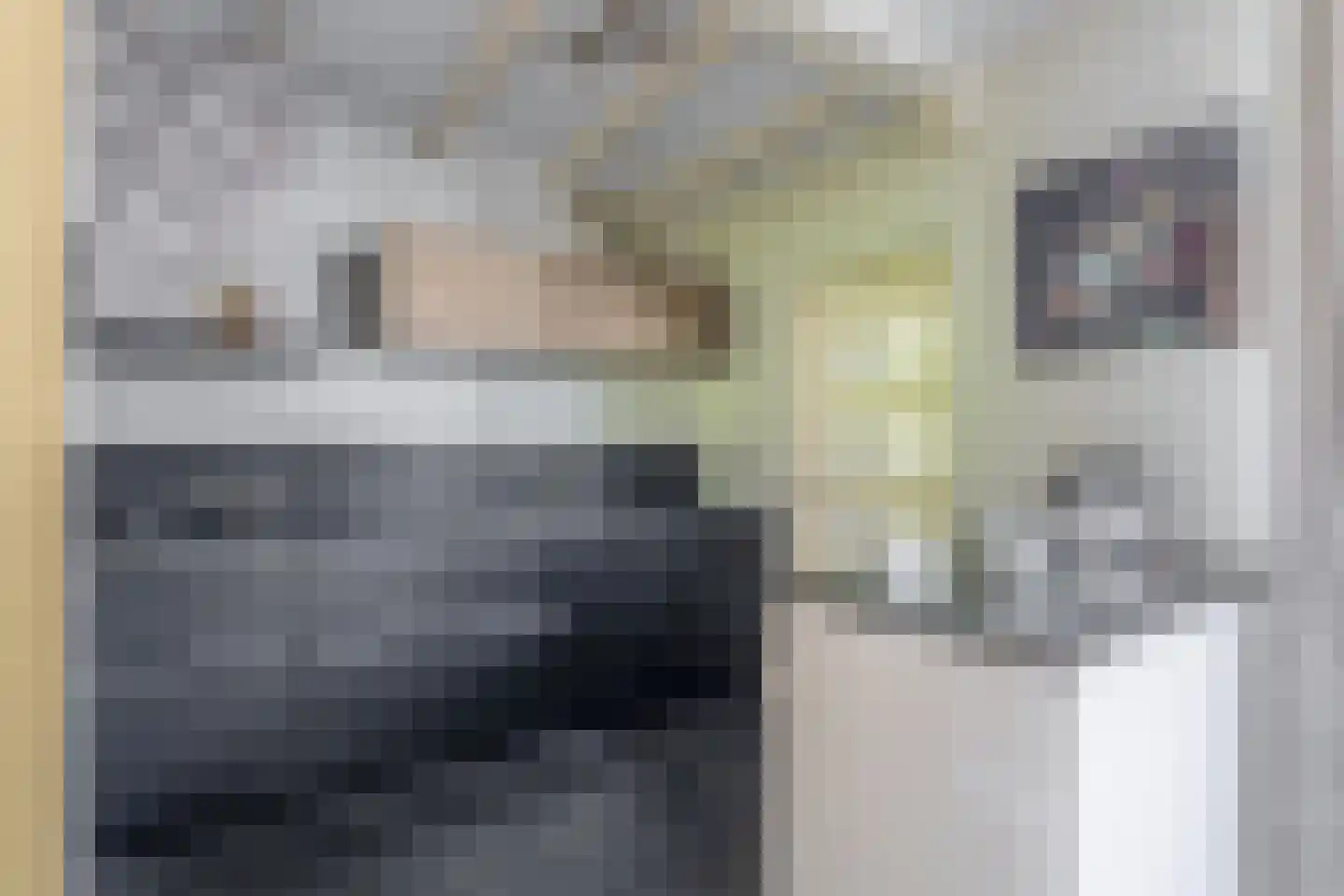Pluvier 20 Sommelsdijk thumbnail 13