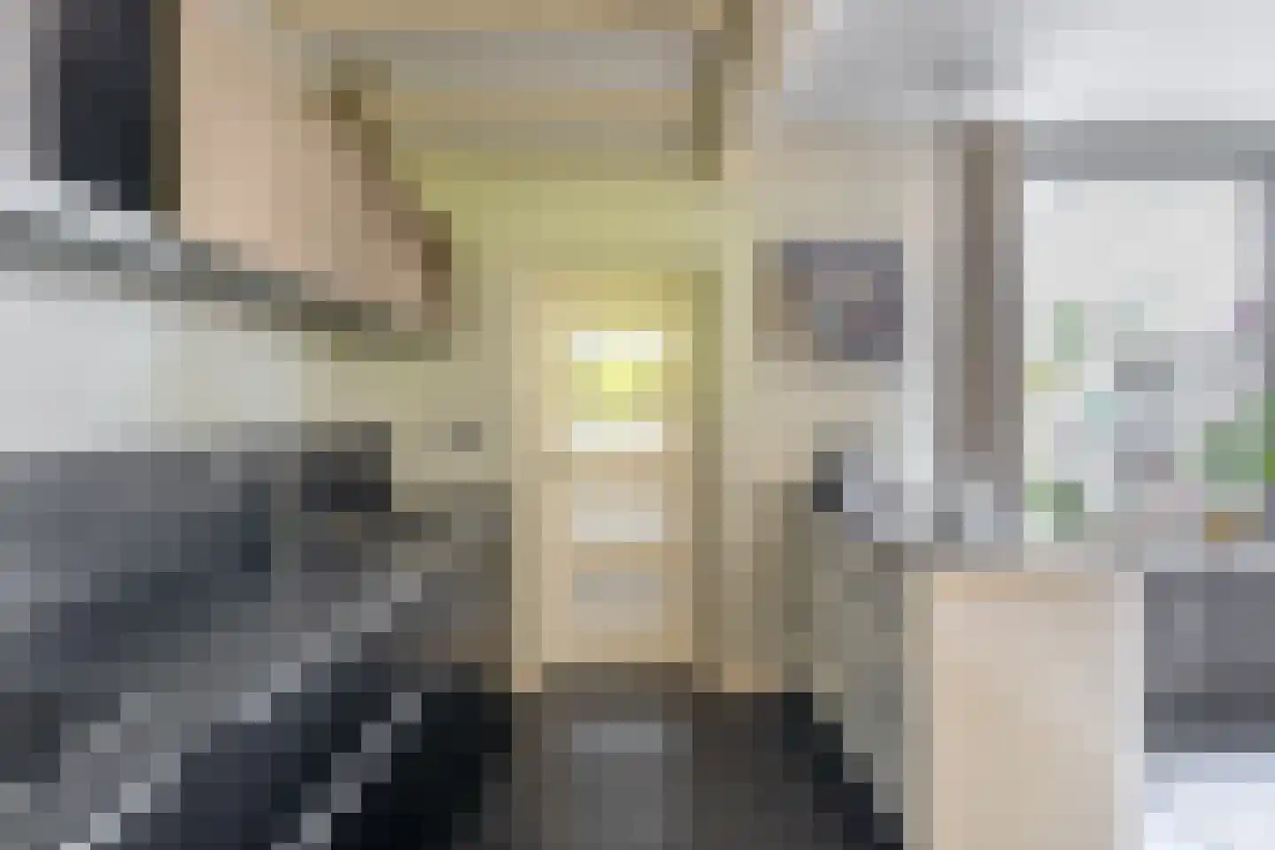 Pluvier 20 Sommelsdijk thumbnail 14