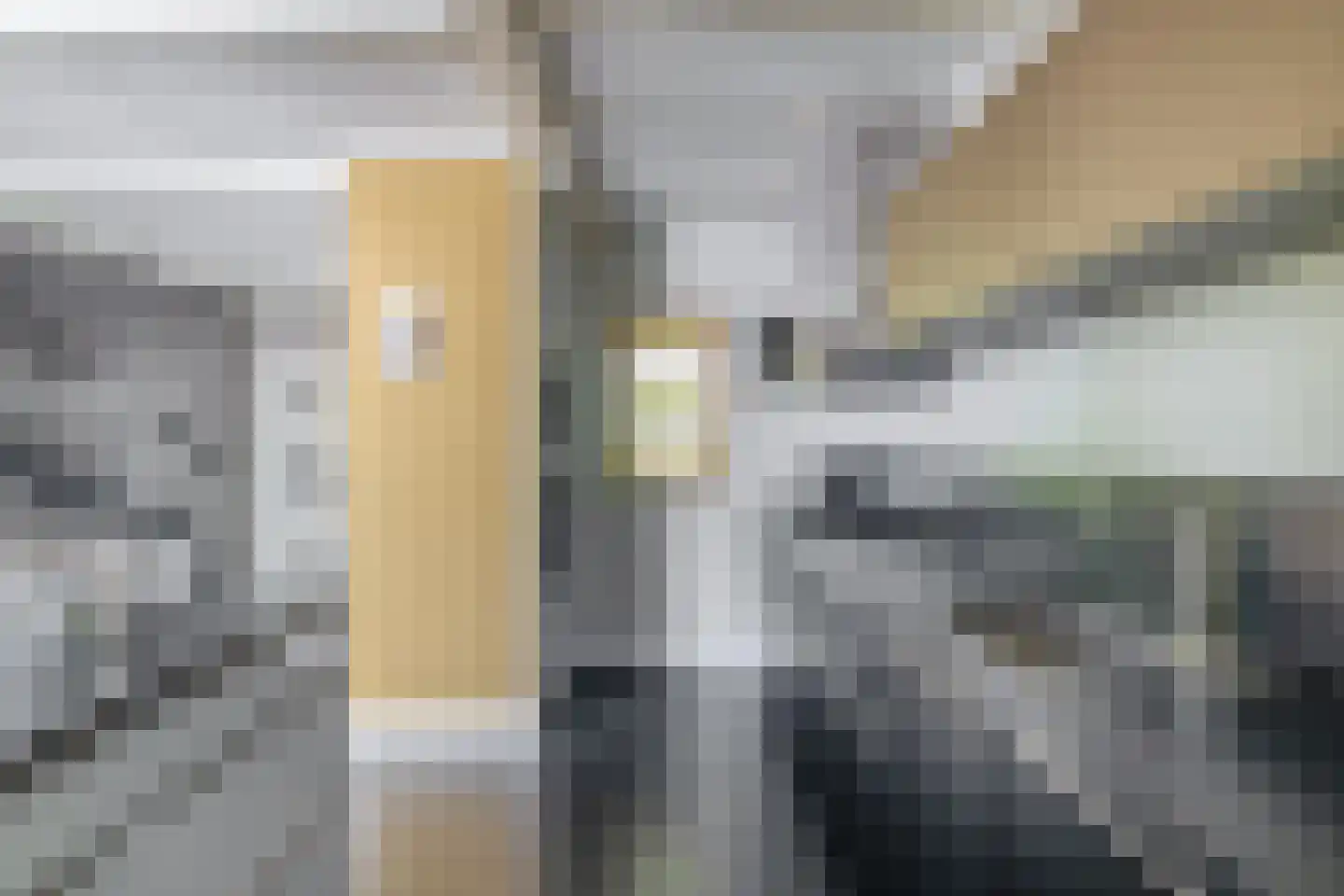 Pluvier 20 Sommelsdijk thumbnail 15