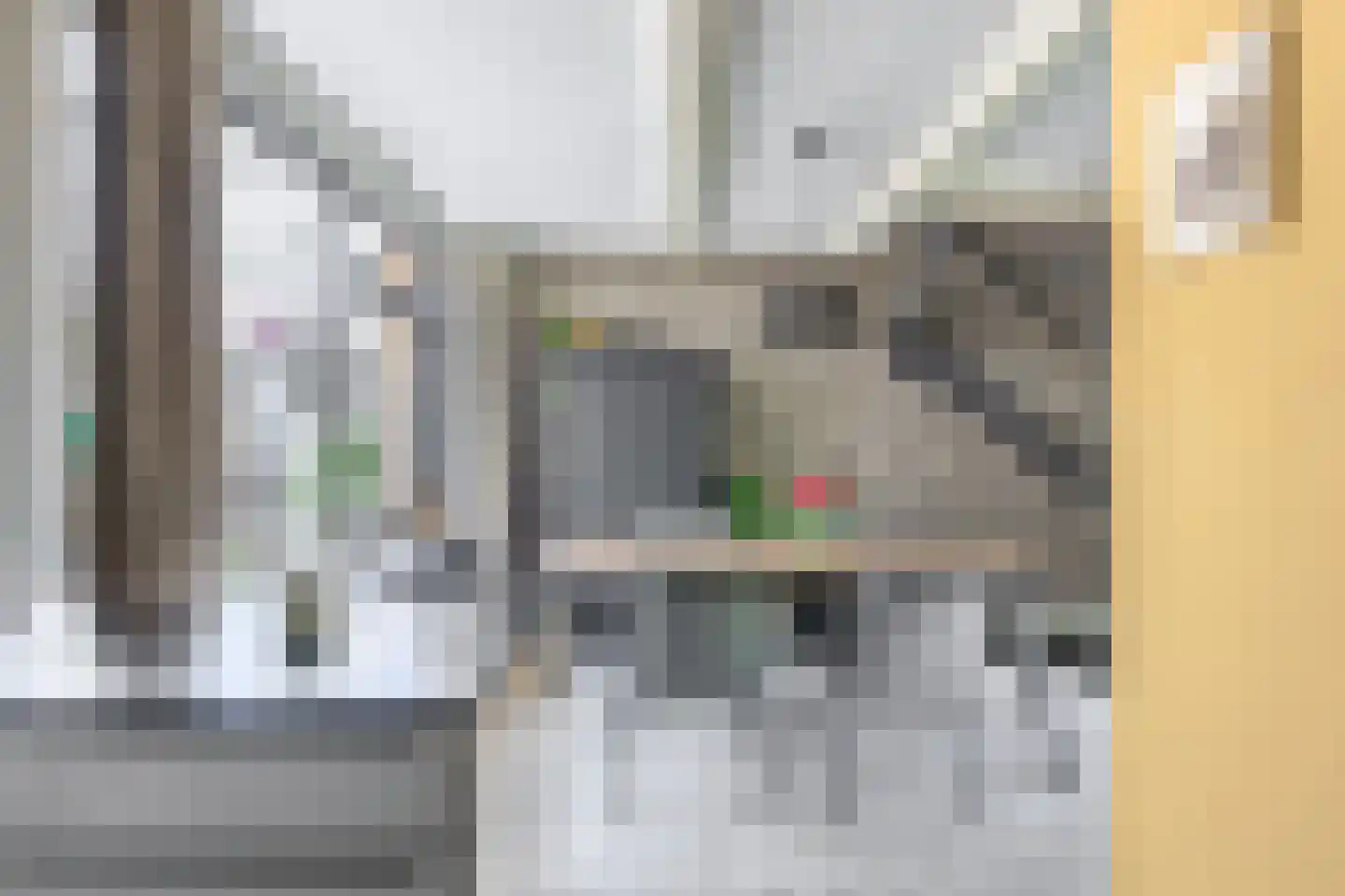 Pluvier 20 Sommelsdijk thumbnail 16