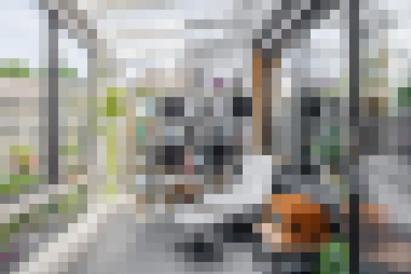 Pluvier 20 Sommelsdijk thumbnail 18