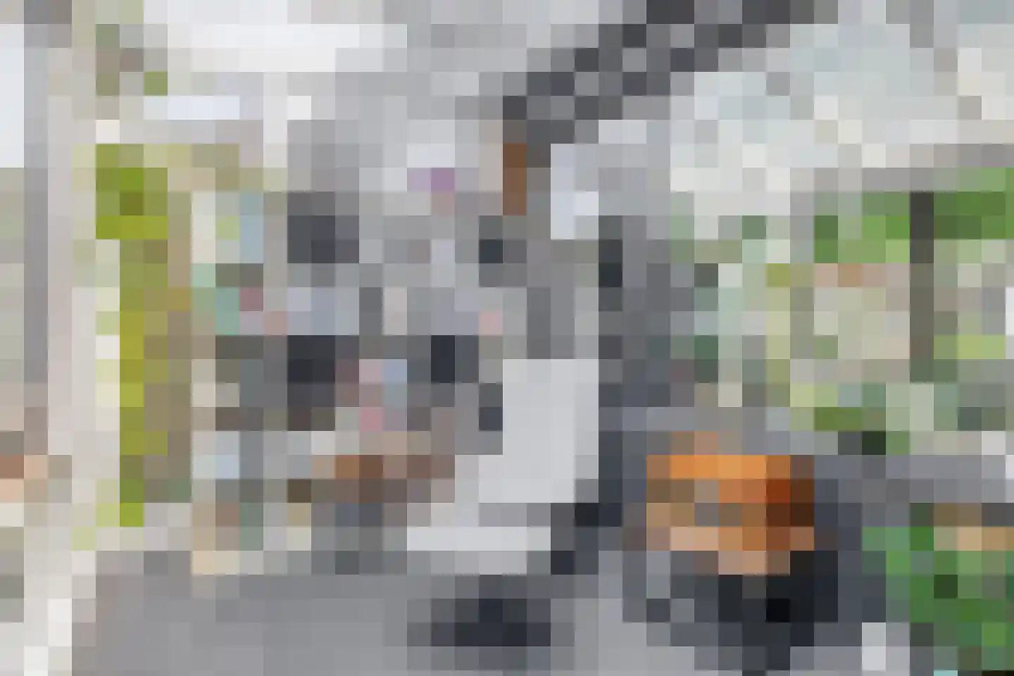 Pluvier 20 Sommelsdijk thumbnail 19