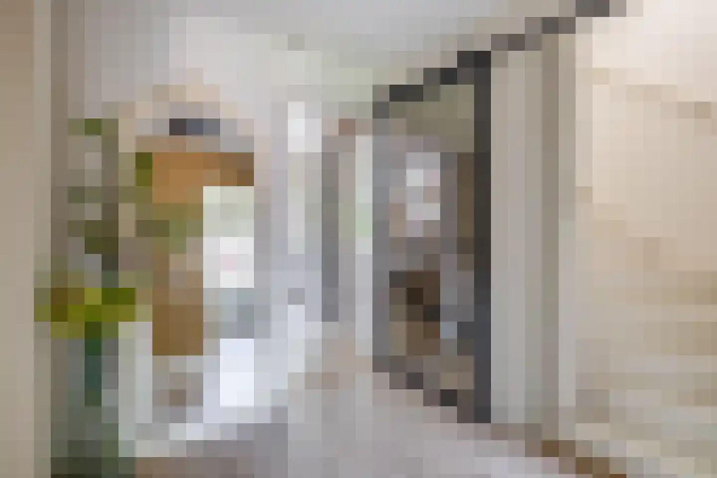 Pluvier 20 Sommelsdijk thumbnail 20