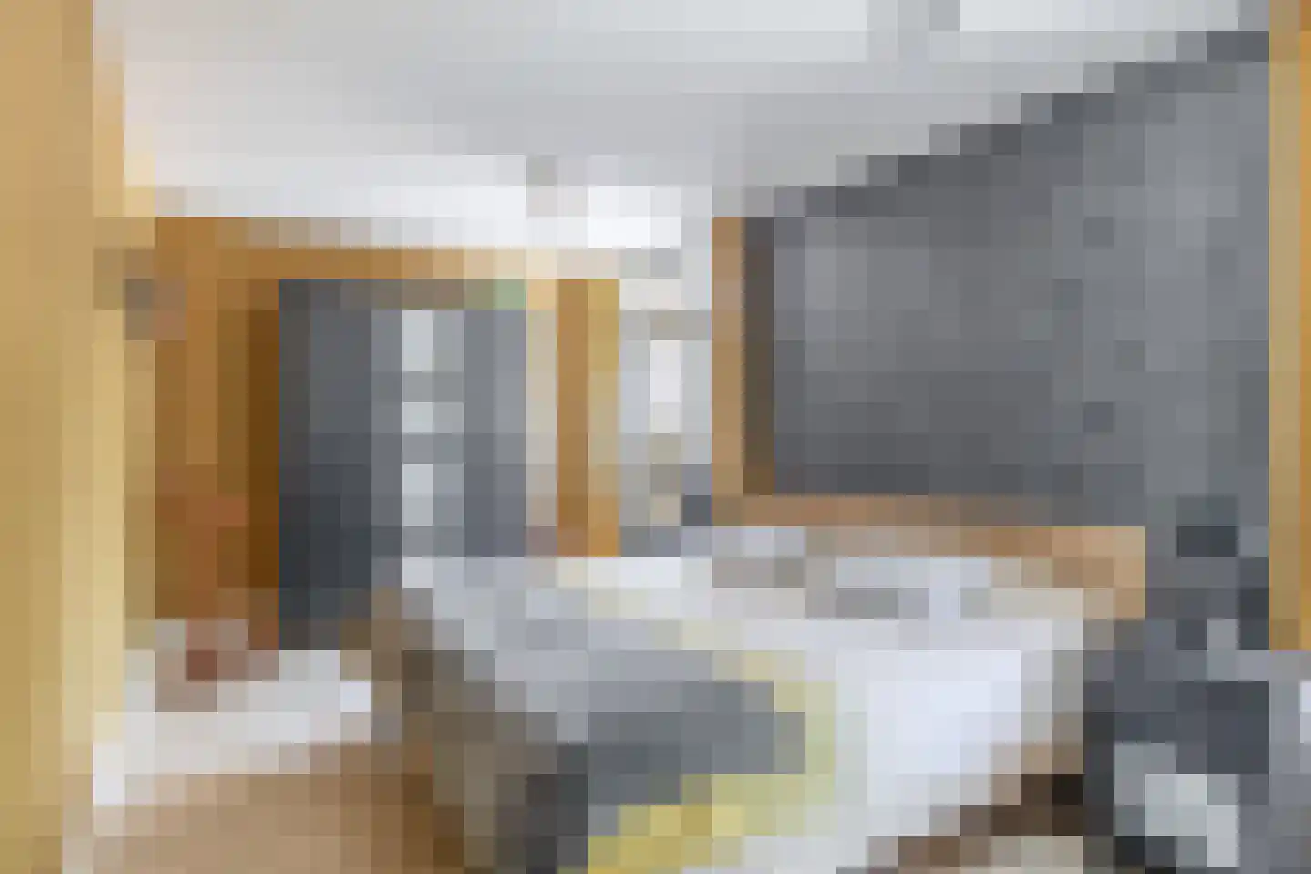 Pluvier 20 Sommelsdijk thumbnail 22