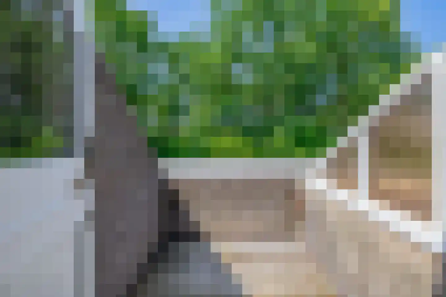Pluvier 20 Sommelsdijk thumbnail 25