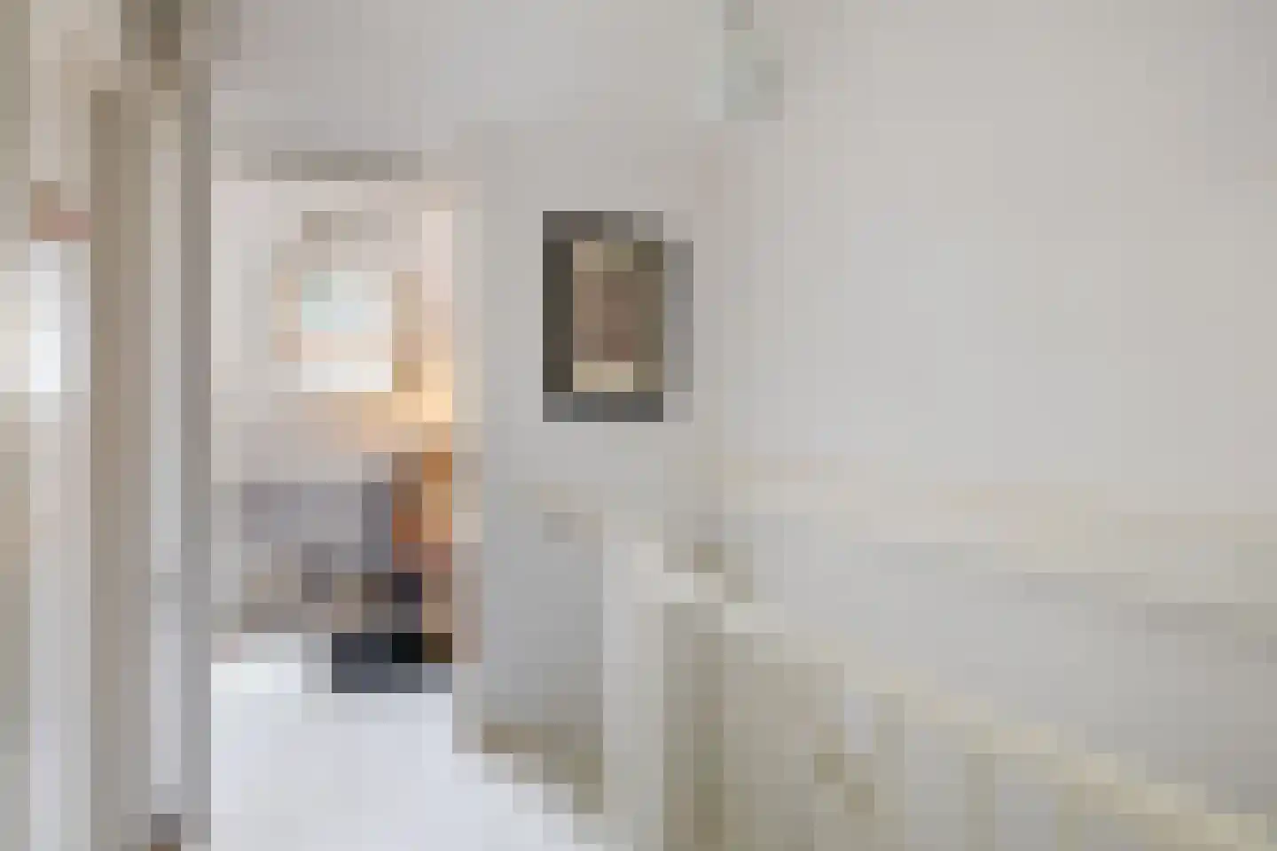 Pluvier 20 Sommelsdijk thumbnail 31