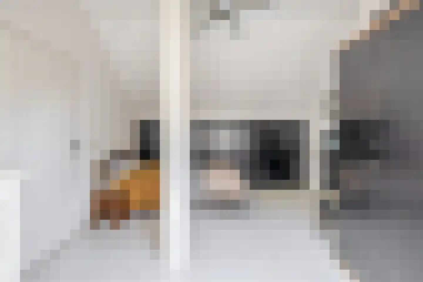 Pluvier 20 Sommelsdijk thumbnail 33