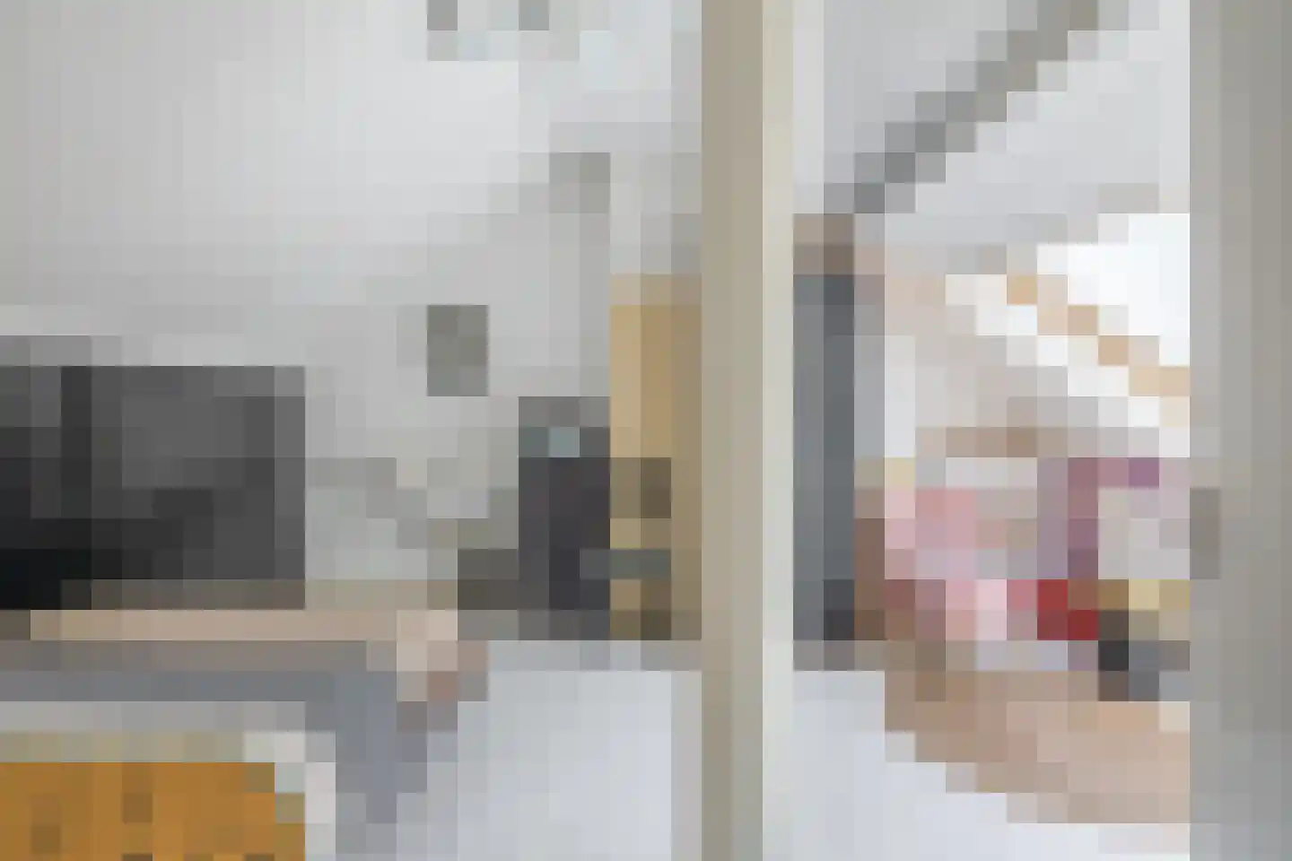 Pluvier 20 Sommelsdijk thumbnail 34