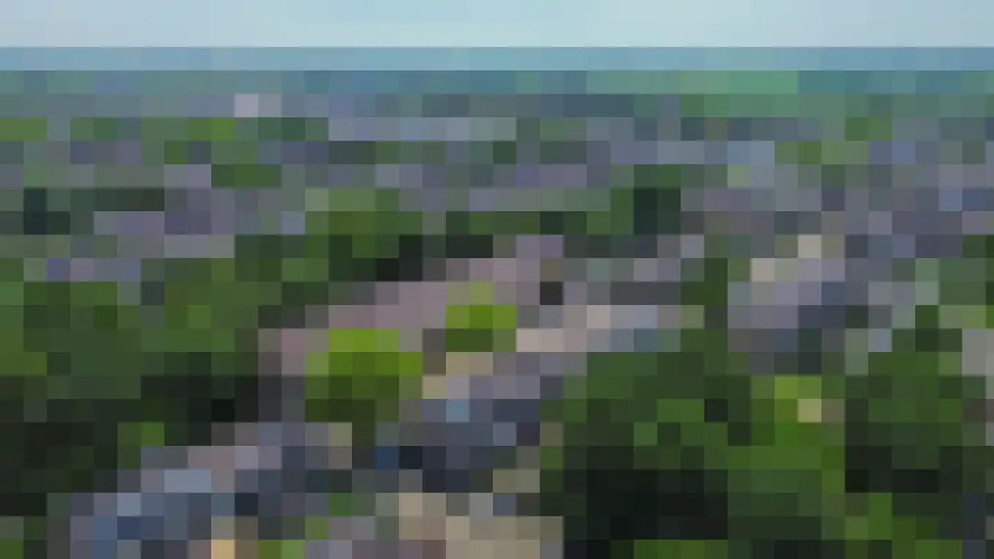 Pluvier 20 Sommelsdijk thumbnail 39