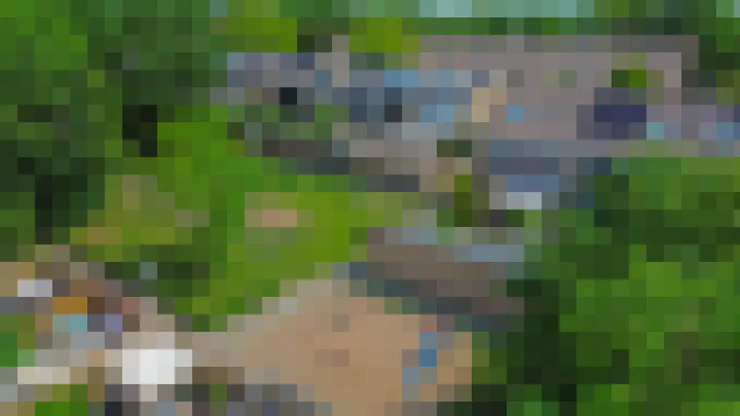 Pluvier 20 Sommelsdijk thumbnail 41