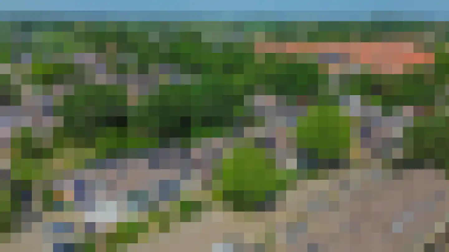 Pluvier 20 Sommelsdijk thumbnail 42