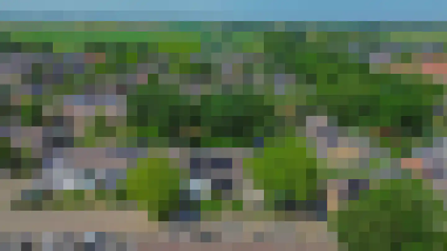 Pluvier 20 Sommelsdijk thumbnail 43
