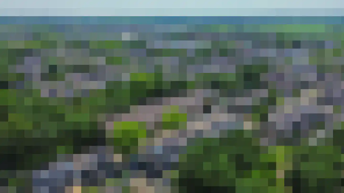 Pluvier 20 Sommelsdijk thumbnail 45