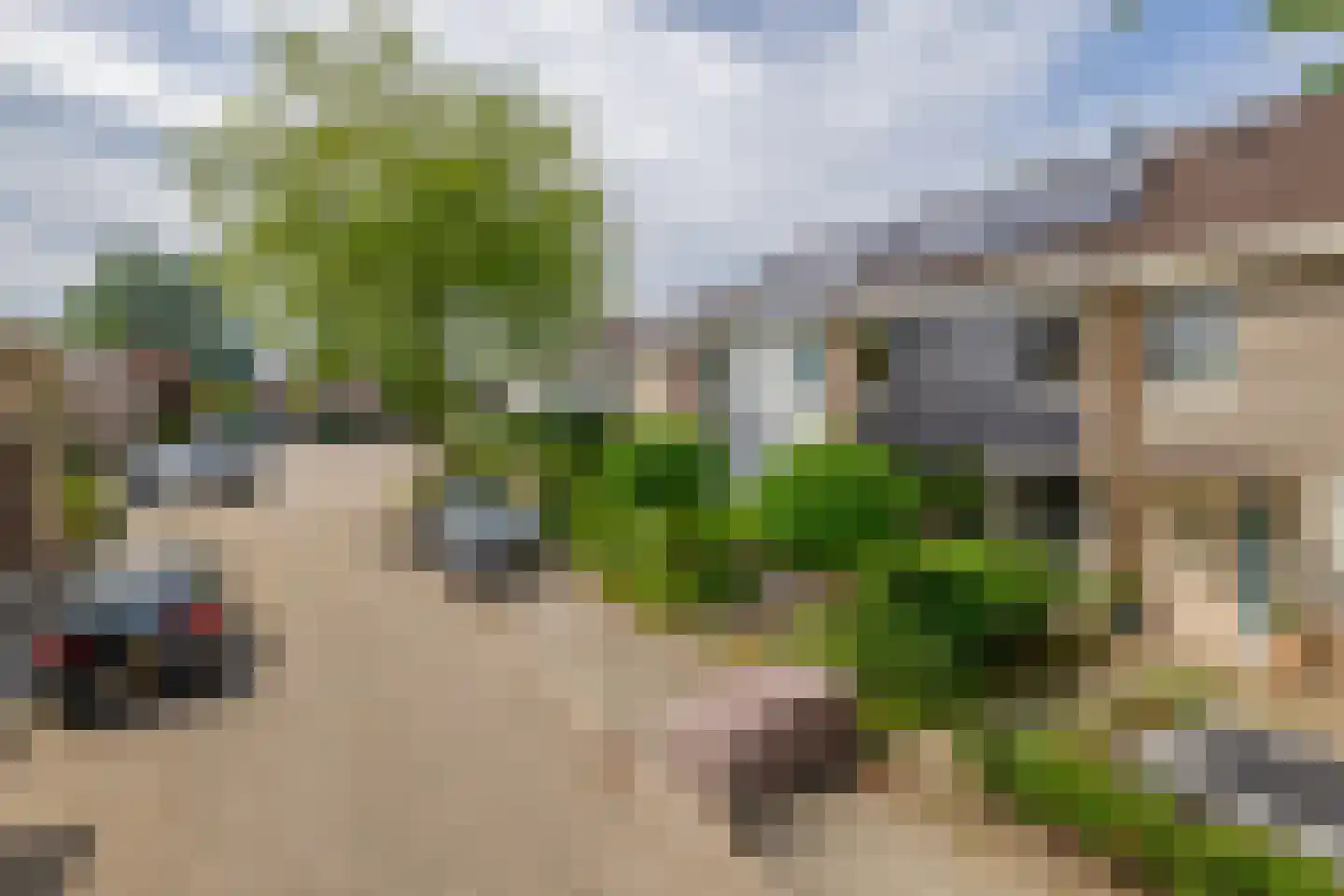 Pluvier 20 Sommelsdijk thumbnail 5