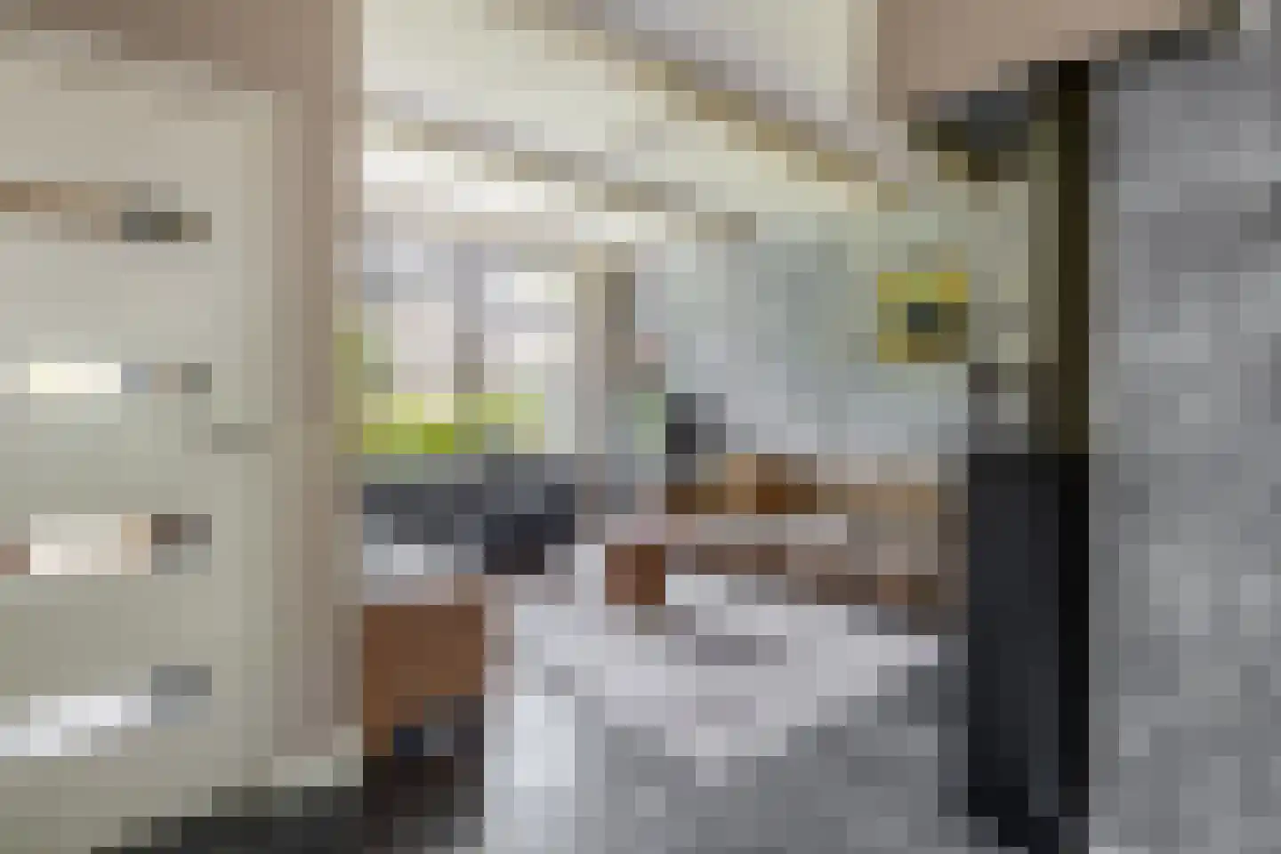 Pluvier 20 Sommelsdijk thumbnail 8