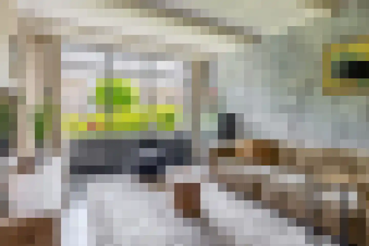 Pluvier 20 Sommelsdijk thumbnail 9