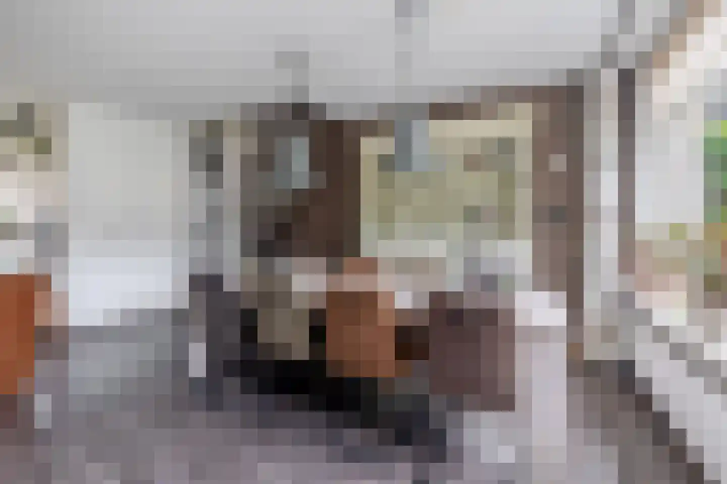 Pluvier 34 Sommelsdijk thumbnail 10