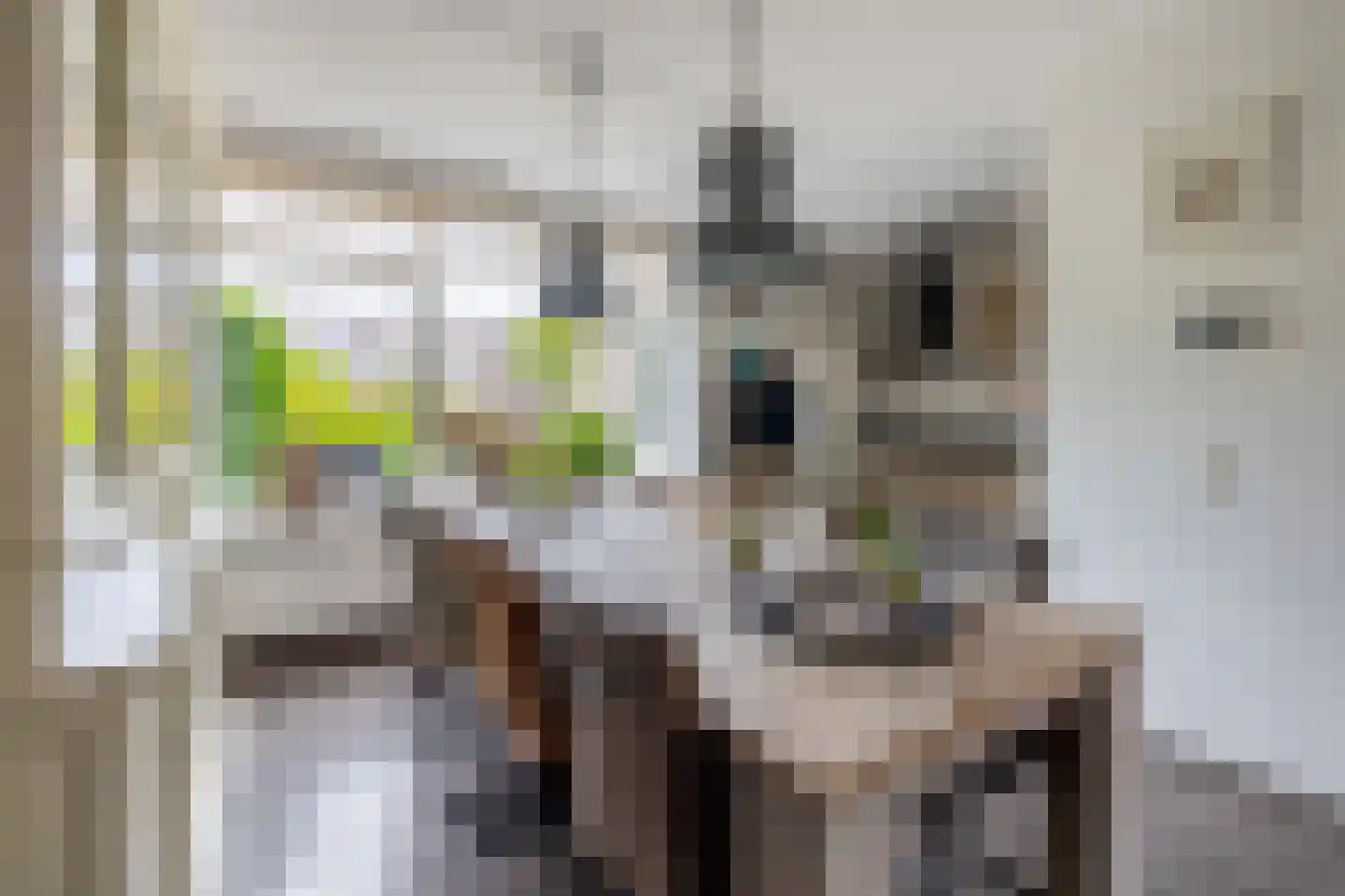 Pluvier 34 Sommelsdijk thumbnail 11