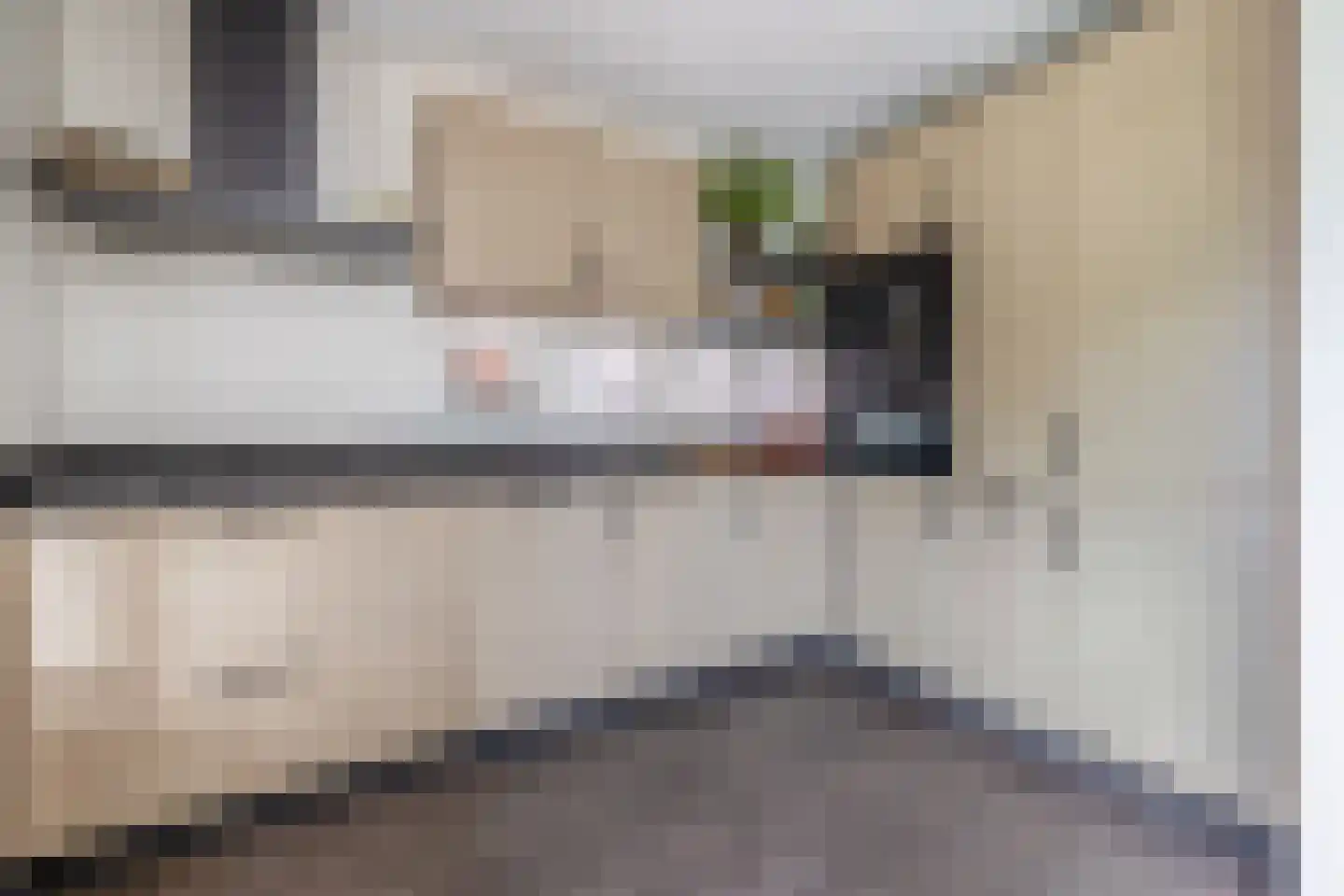 Pluvier 34 Sommelsdijk thumbnail 12
