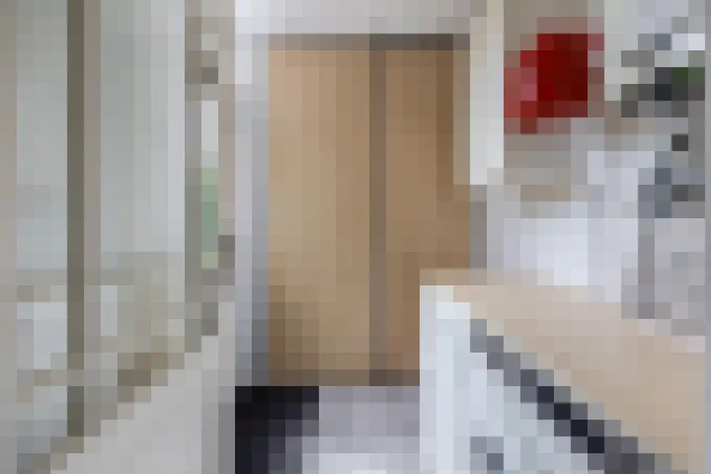 Pluvier 34 Sommelsdijk thumbnail 14