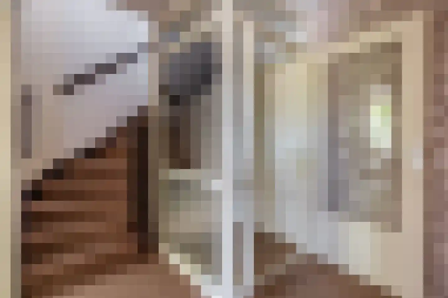 Pluvier 34 Sommelsdijk thumbnail 15