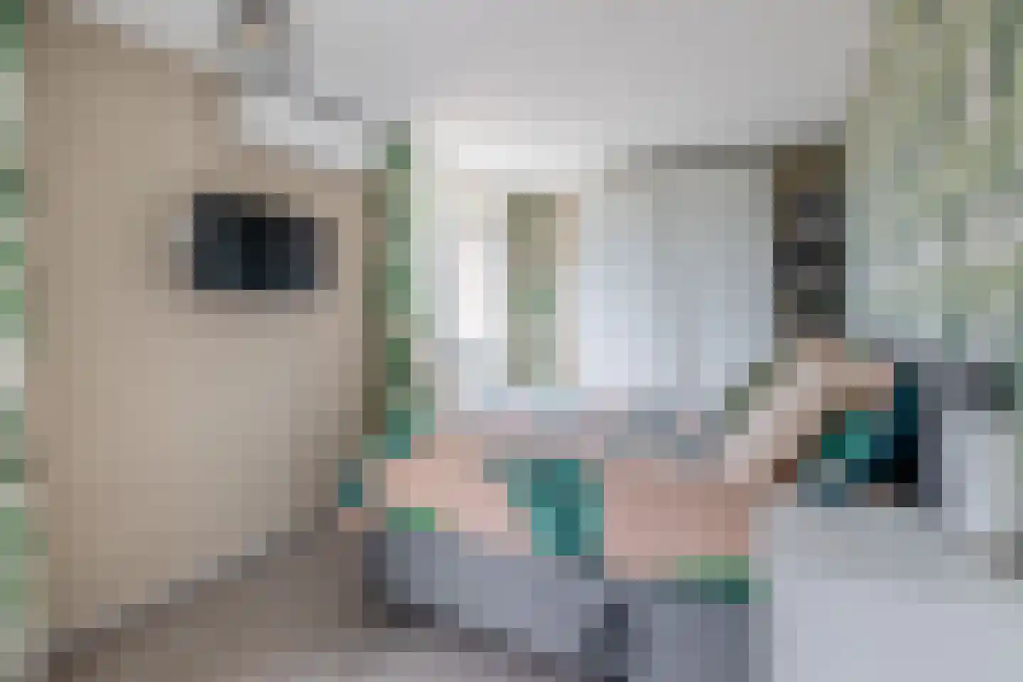 Pluvier 34 Sommelsdijk thumbnail 16