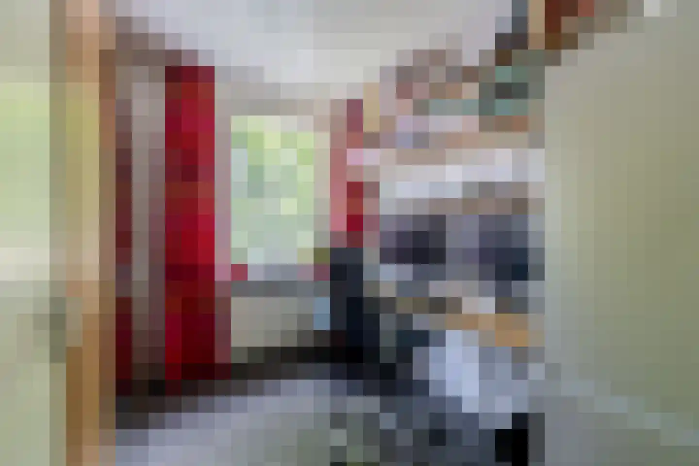 Pluvier 34 Sommelsdijk thumbnail 19