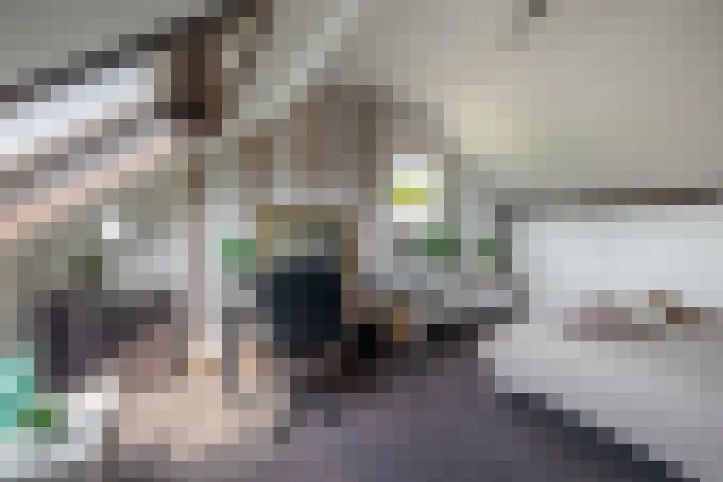 Pluvier 34 Sommelsdijk thumbnail 24