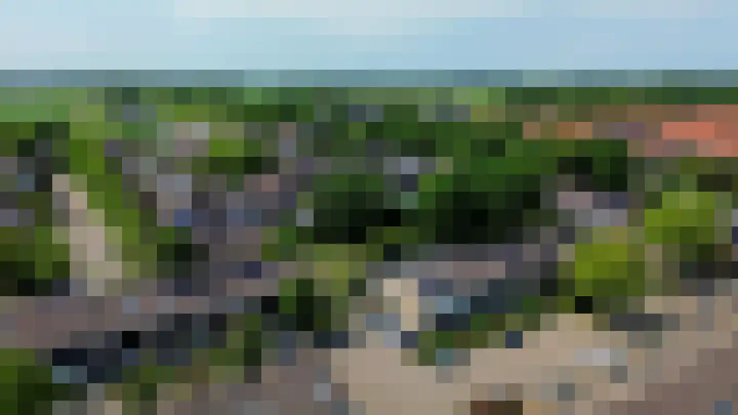 Pluvier 34 Sommelsdijk thumbnail 29