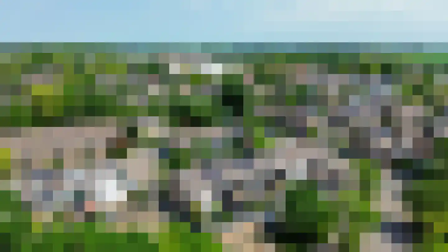 Pluvier 34 Sommelsdijk thumbnail 30