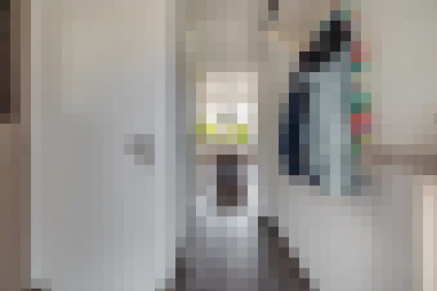 Pluvier 34 Sommelsdijk thumbnail 6
