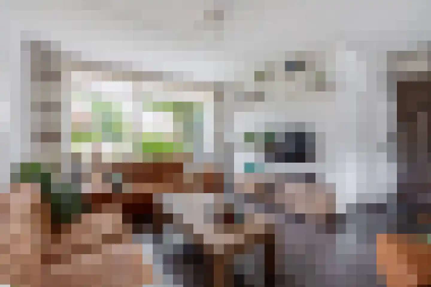 Pluvier 34 Sommelsdijk thumbnail 7