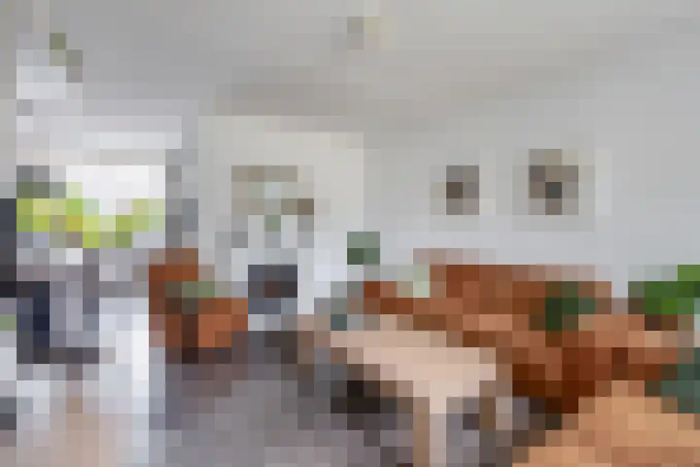 Pluvier 34 Sommelsdijk thumbnail 8