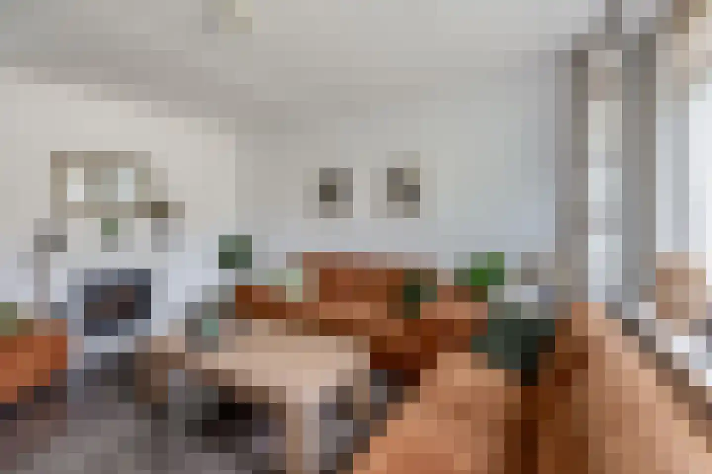 Pluvier 34 Sommelsdijk thumbnail 9