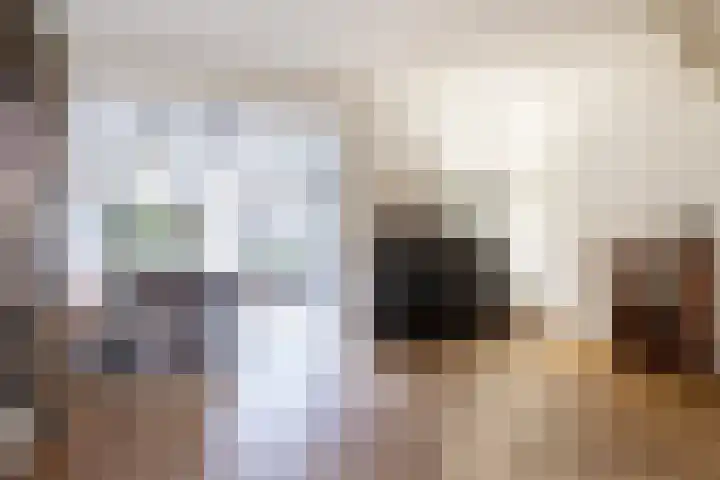 Pluvierenlaan 41 Bilthoven thumbnail 10