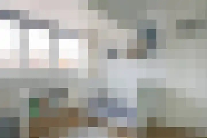 Pluvierenlaan 41 Bilthoven thumbnail 23