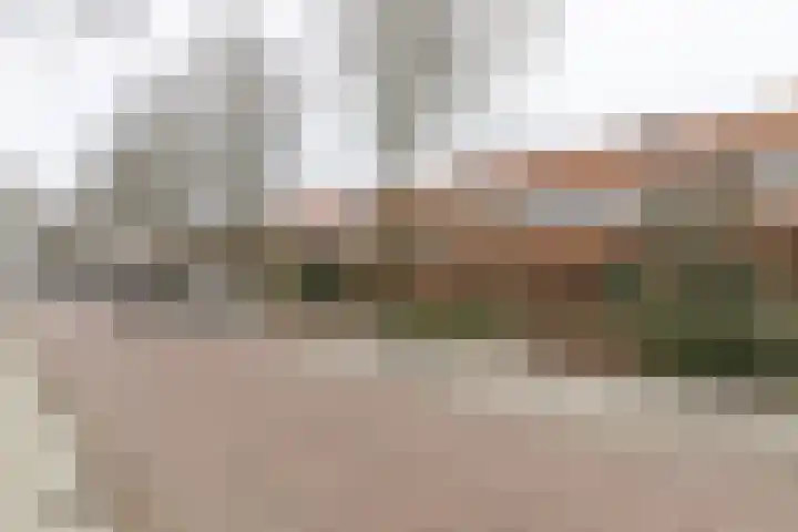 Pluvierenlaan 41 Bilthoven thumbnail 36