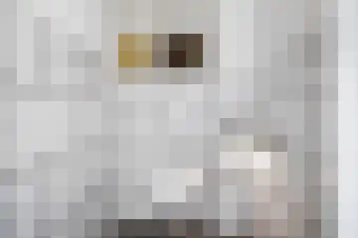 Pluvierenlaan 51 Bilthoven thumbnail 31