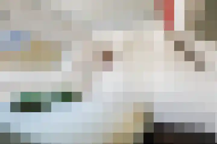 Pluvierenlaan 51 Bilthoven thumbnail 36