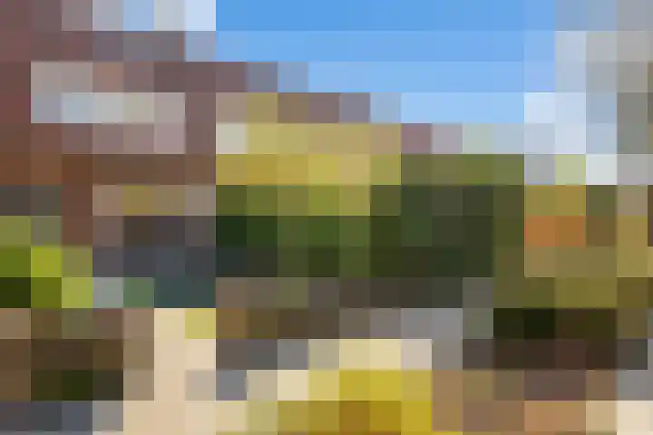 Pluvierenlaan 51 Bilthoven thumbnail 41
