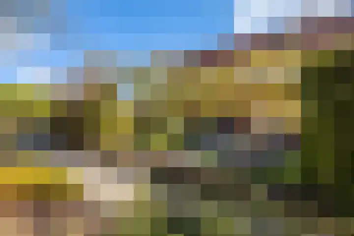 Pluvierenlaan 51 Bilthoven thumbnail 42
