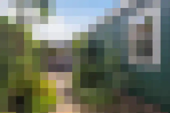 Pluvierenlaan 9 Bilthoven thumbnail 16