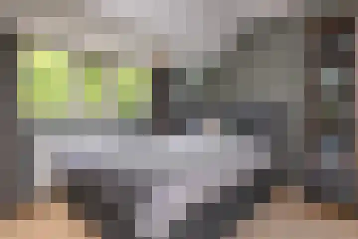 Pluvierenlaan 9 Bilthoven thumbnail 26
