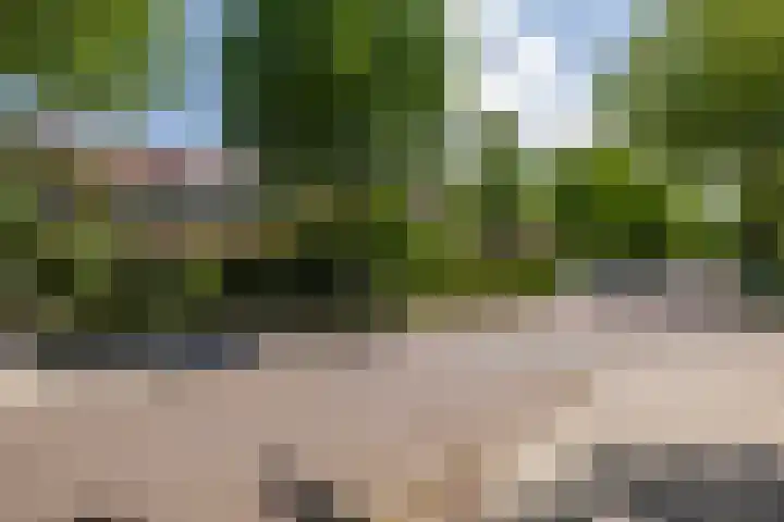 Pluvierenlaan 9 Bilthoven thumbnail 29