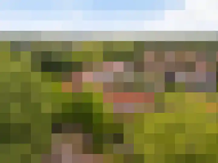 Pluvierenlaan 9 Bilthoven thumbnail 32