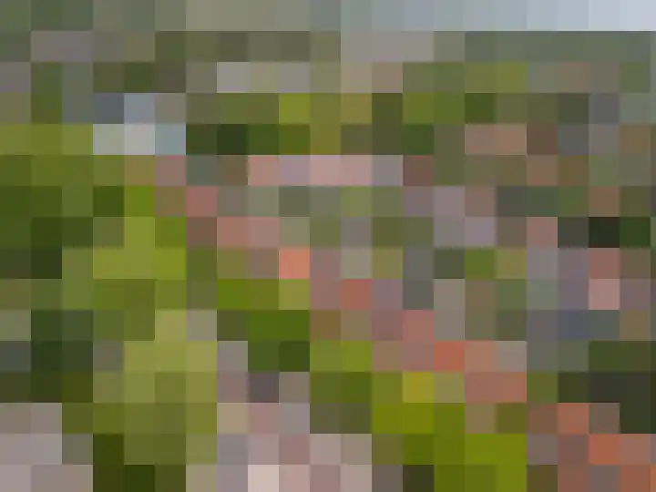 Pluvierenlaan 9 Bilthoven thumbnail 33